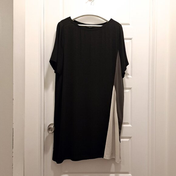 Eileen Fisher Silk Georgette Crepe Colorblock Shift Dress Size XL - Picture 2 of 7